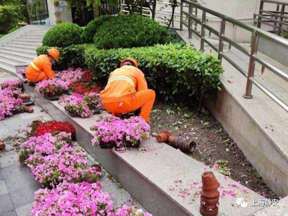 关于上海绿地备战克服困难努力拼搏的信息