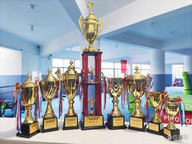 FBsports-比利时选手大展拳脚，多人勇夺奖牌